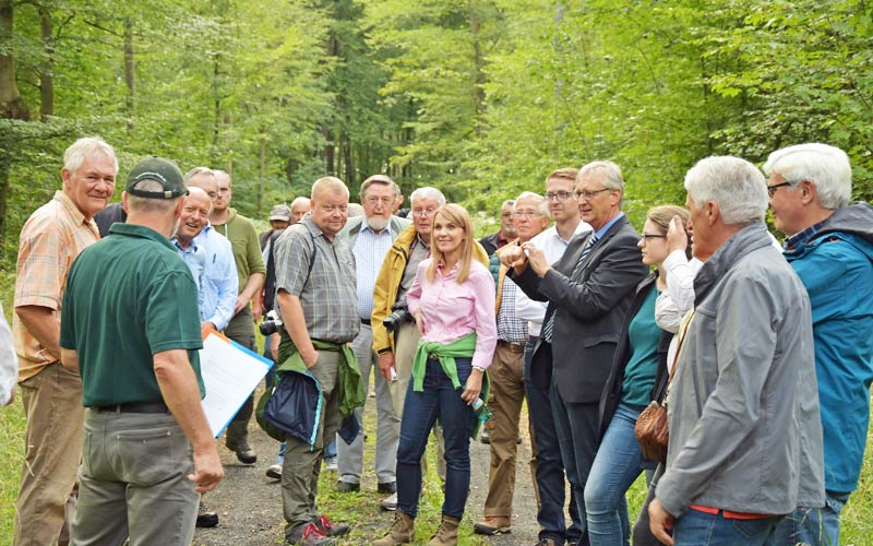 Organisation und Bündelung von Privatwaldbesitzern